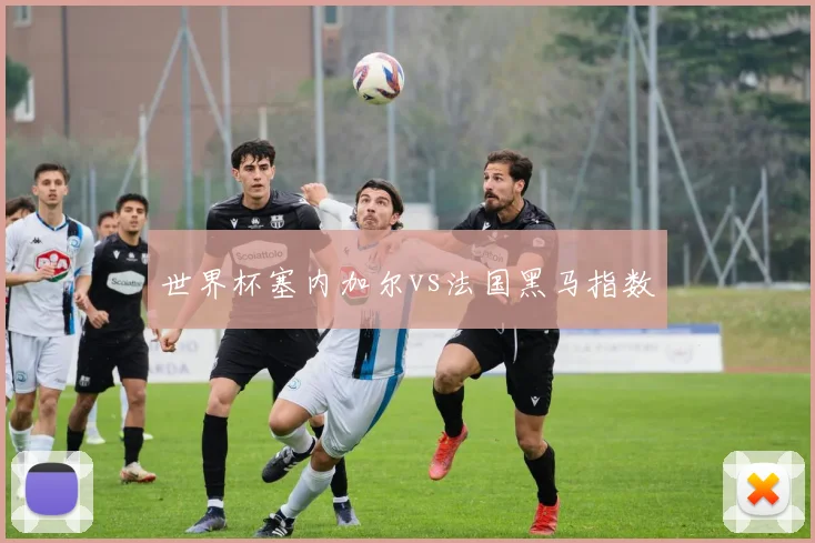 世界杯塞内加尔vs法国黑马指数