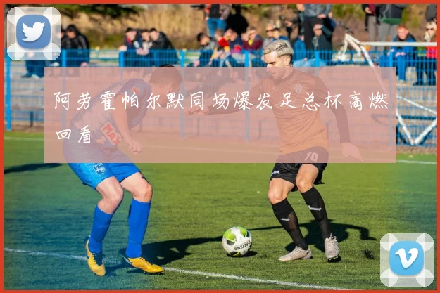 阿劳霍帕尔默同场爆发足总杯高燃回看
