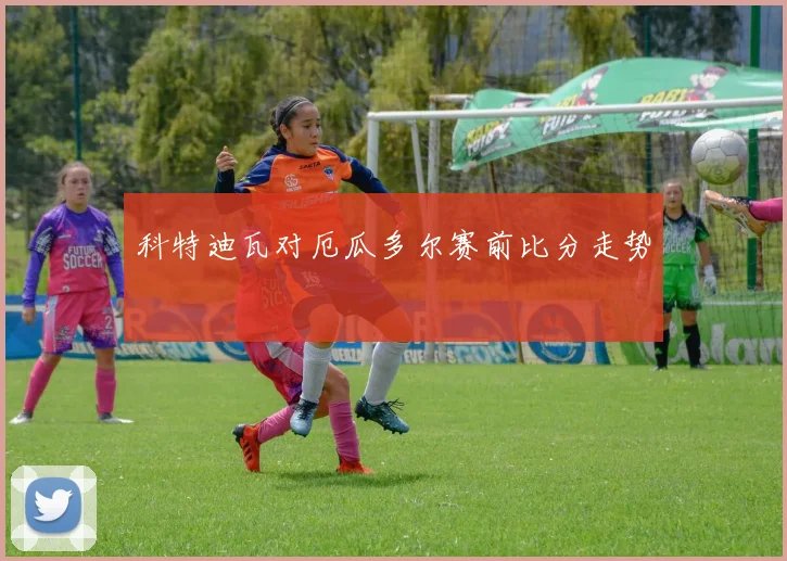 科特迪瓦对厄瓜多尔赛前比分走势