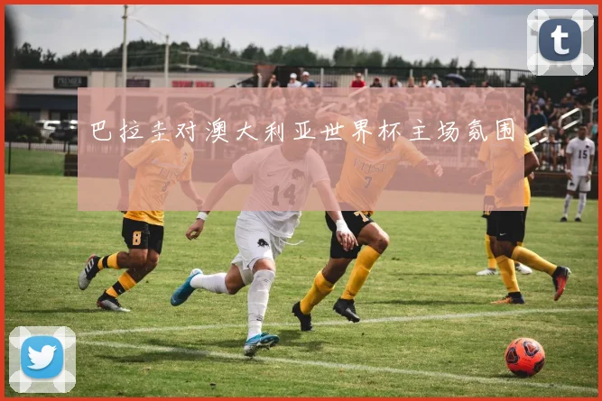 巴拉圭对澳大利亚世界杯主场氛围